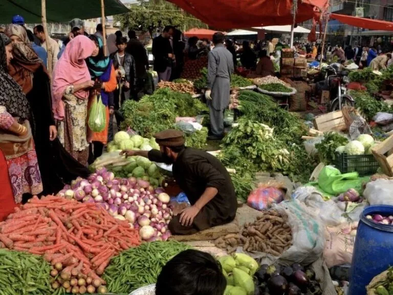 Modern commercial layout design tracking asset for Larkana vegetable and fruit market